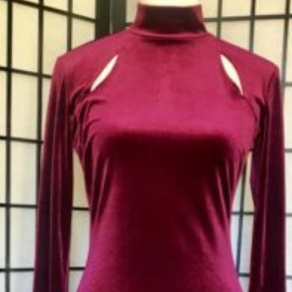 New Women's En Focus Studio Velvet Dress Burgundy Size 8 - Picture 2 of 7